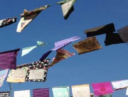 Voices in the Courtyard